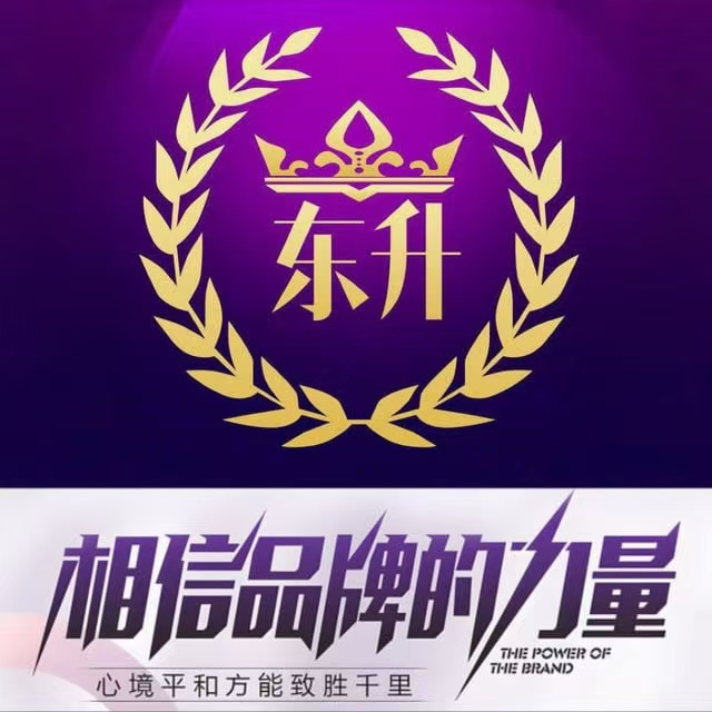 东升国际